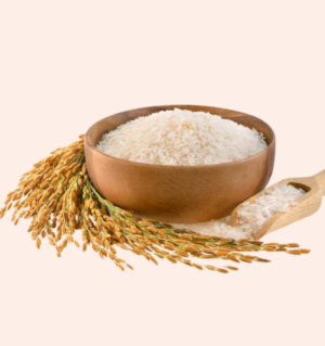 Rice