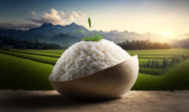 uncooked-asian-white-rice-with-rice-field-background_872147-11530